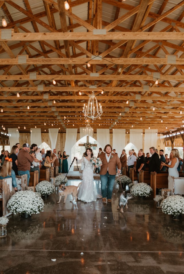 050f2587-f372-4de3-9d04-c5e1008d04ac