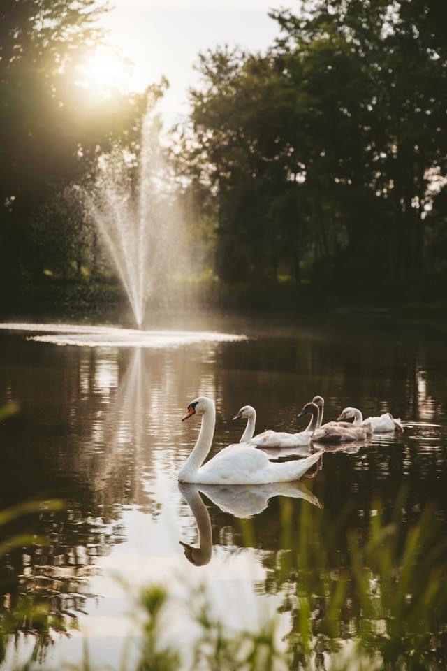 0d07c4ee-4862-4cdc-ac18-9b0a87aec924