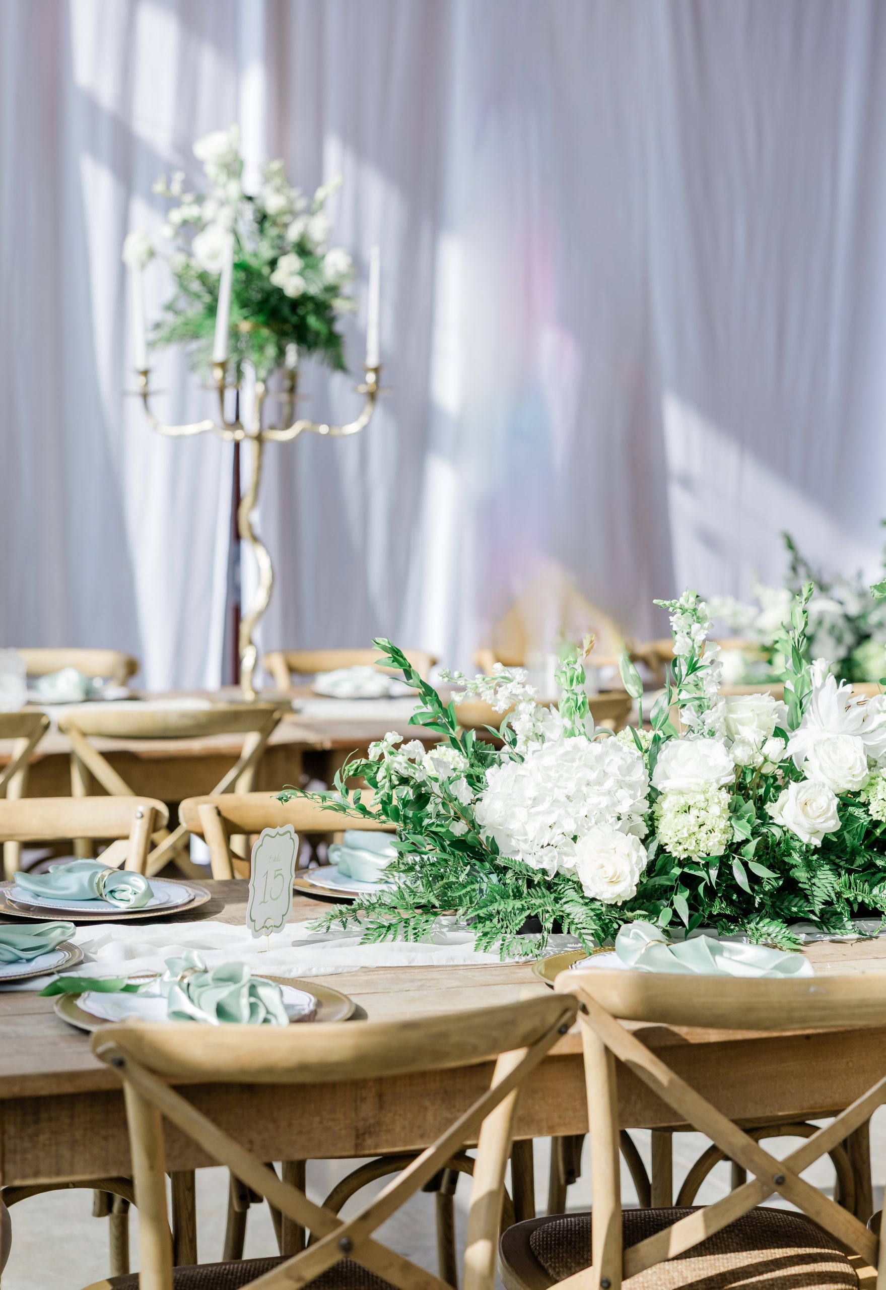 Tricia and Austin Previews