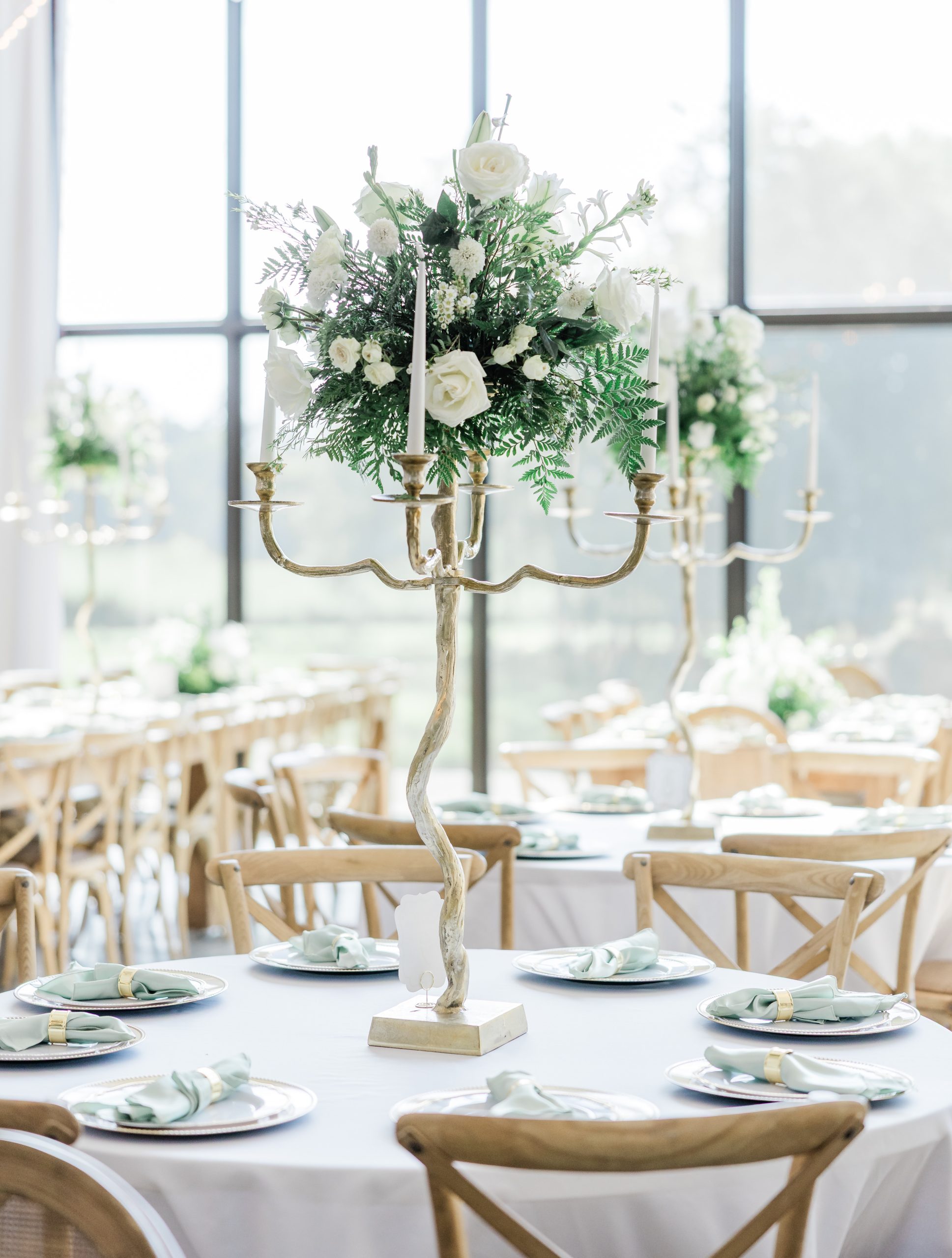 Tricia and Austin Previews