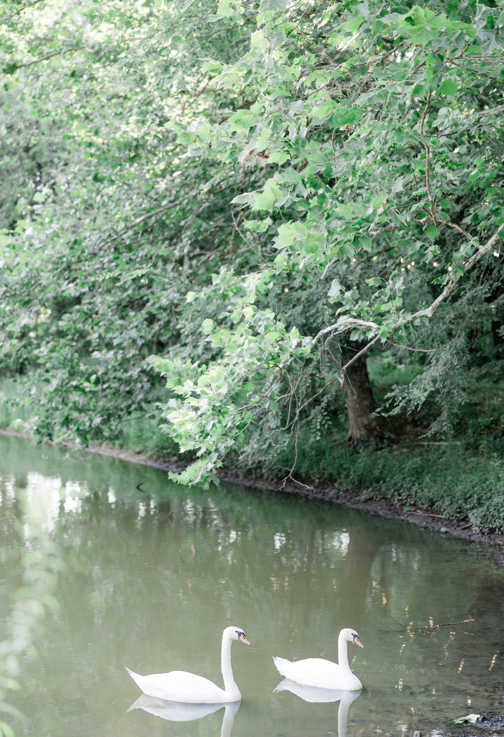 Tricia and Austin Previews